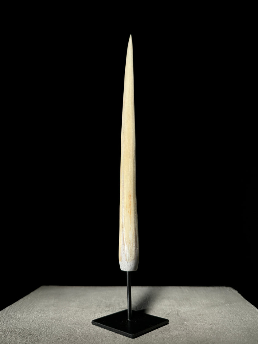 Marlin tusk on stand  - Tusk,A/013