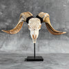 Carved Ram Skull with Traditional Balinese Motif - White Wall Art Decor for Boho, Rustic & Eclectic Interiors
