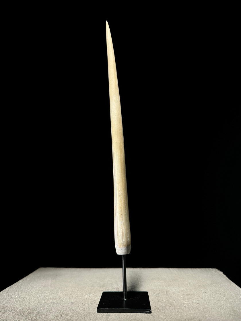 Marlin tusk on stand  - Tusk,A/013