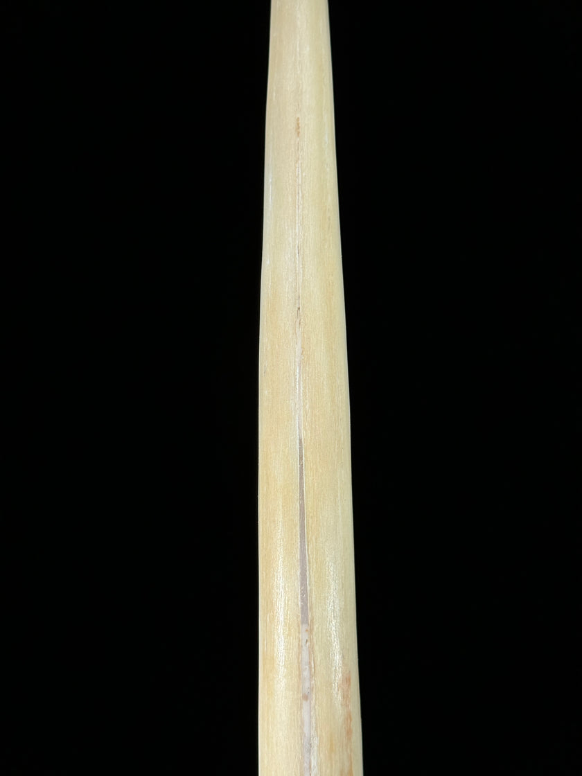 Marlin tusk on stand  - Tusk,A/013