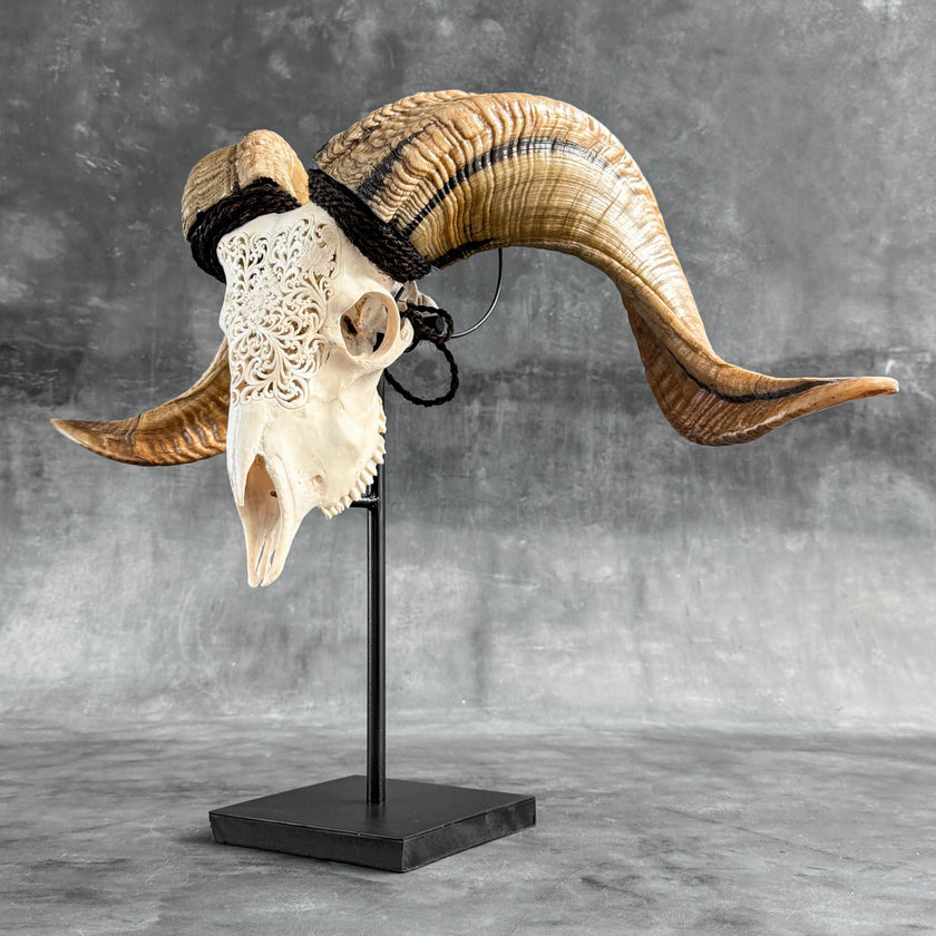 Carved Ram Skull with Traditional Balinese Motif - White Wall Art Decor for Boho, Rustic & Eclectic Interiors