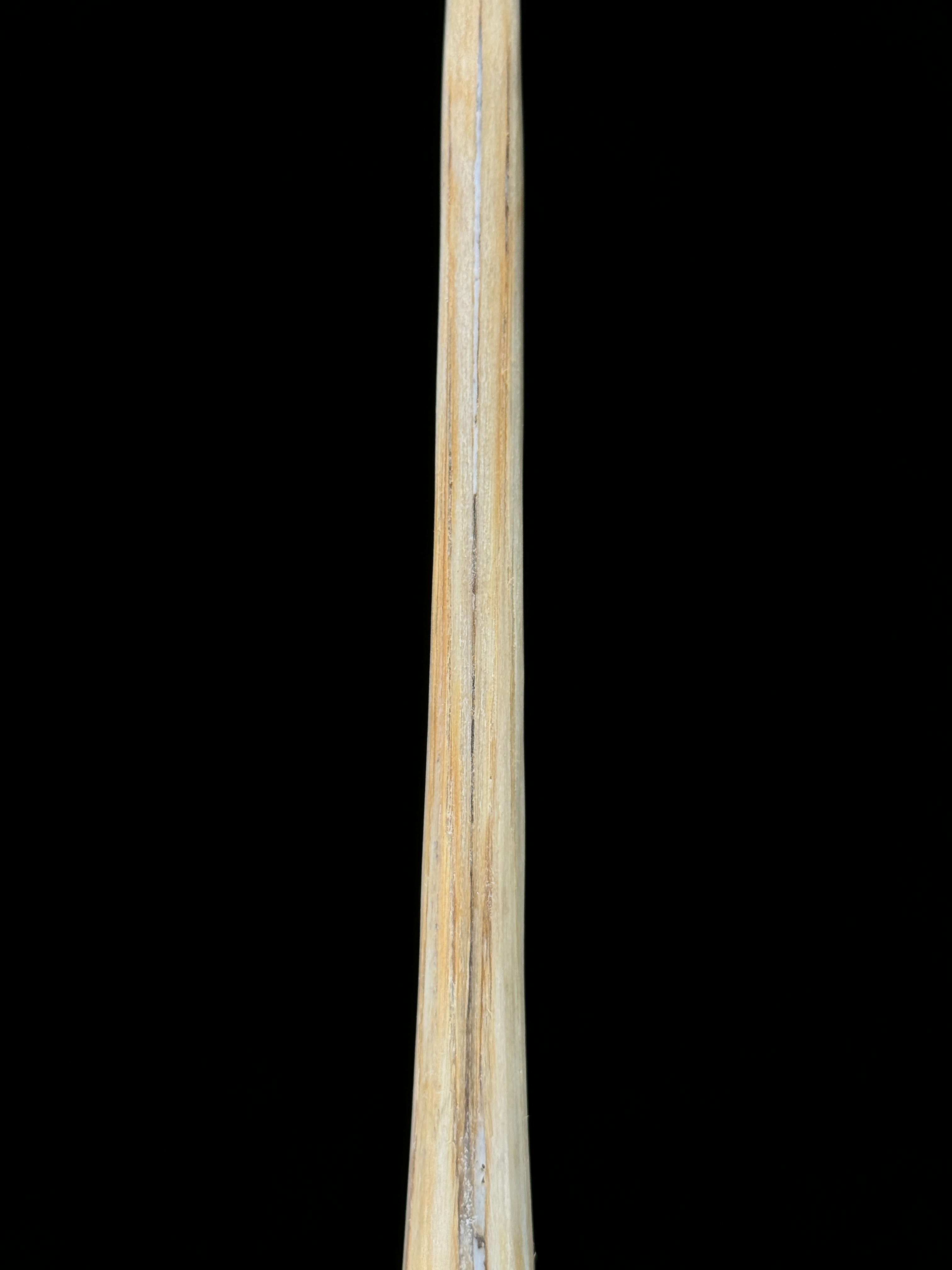 Marlin tusk on stand  - Tusk,A/011