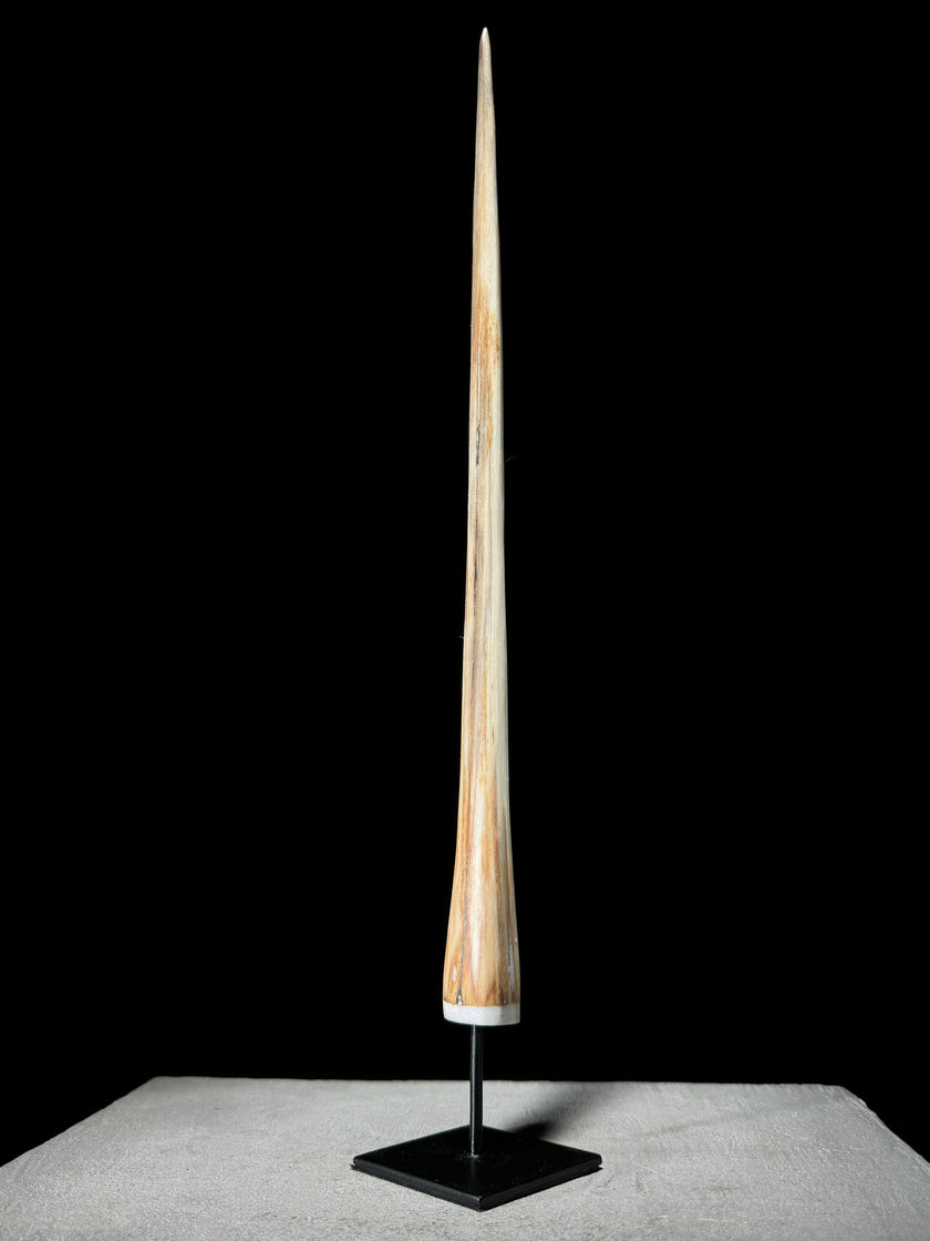 Marlin tusk on stand  - Tusk,A/012