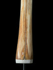 Marlin tusk on stand  - Tusk,A/012