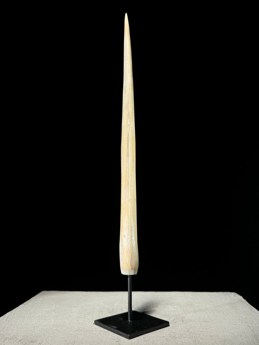 Marlin tusk on stand  - Tusk,A/019