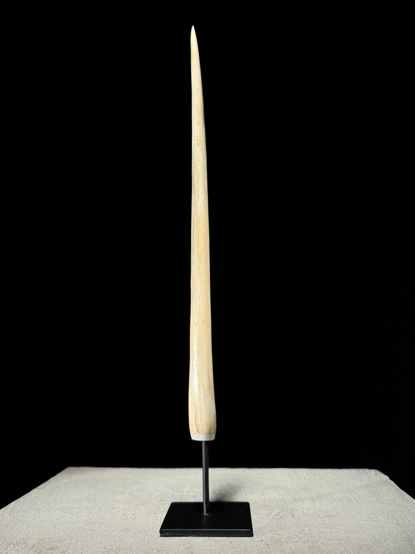 Marlin tusk on stand  - Tusk,A/019