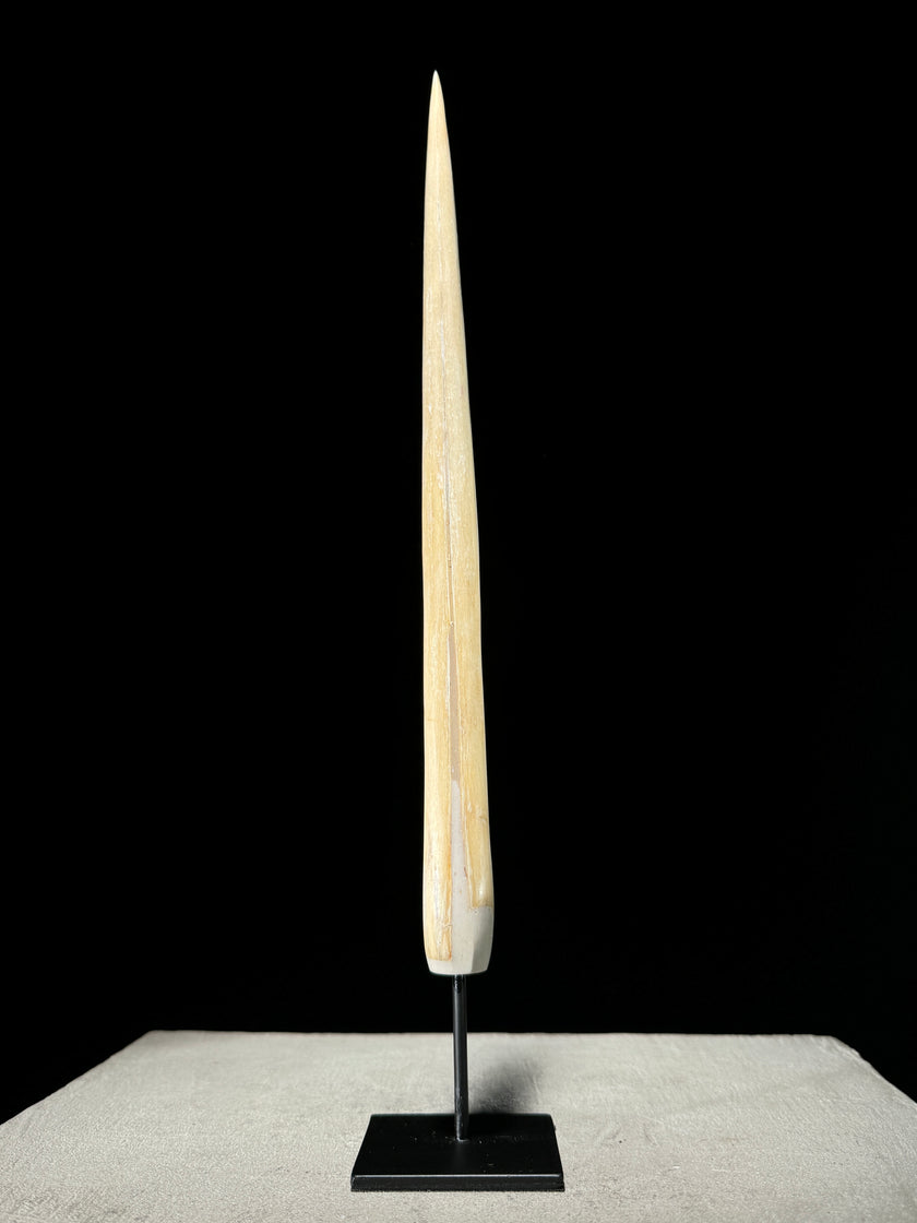 Marlin tusk on stand  - Tusk,A/019