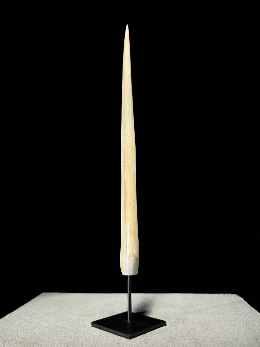 Marlin tusk on stand  - Tusk,A/019