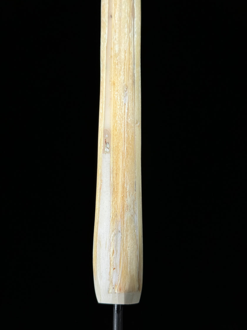 Marlin tusk on stand  - Tusk,A/019