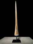 Marlin tusk on stand  - Tusk,A/020