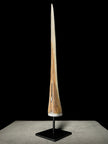 Marlin tusk on stand  - Tusk,A/020