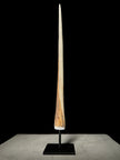 Marlin tusk on stand  - Tusk,A/020