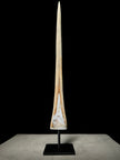 Marlin tusk on stand  - Tusk,A/020