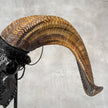 Carved Ram Skull with Badong Motif - Black Wall Art Decor for Boho, Rustic & Eclectic Interiors - Skull,A/116