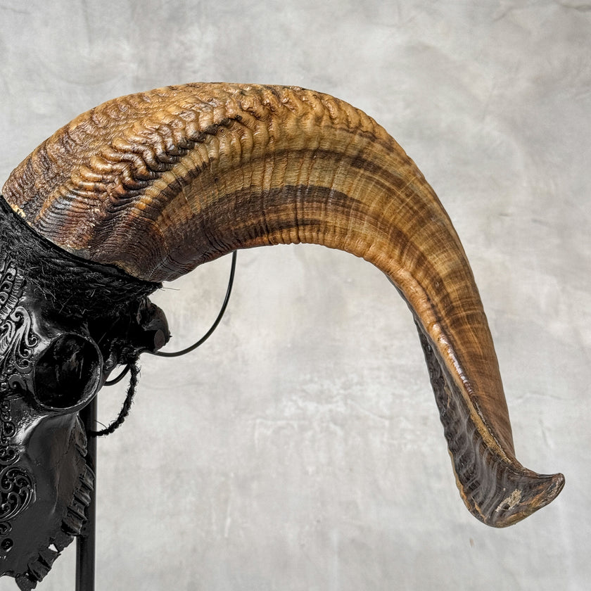 Carved Ram Skull with Badong Motif - Black Wall Art Decor for Boho, Rustic & Eclectic Interiors