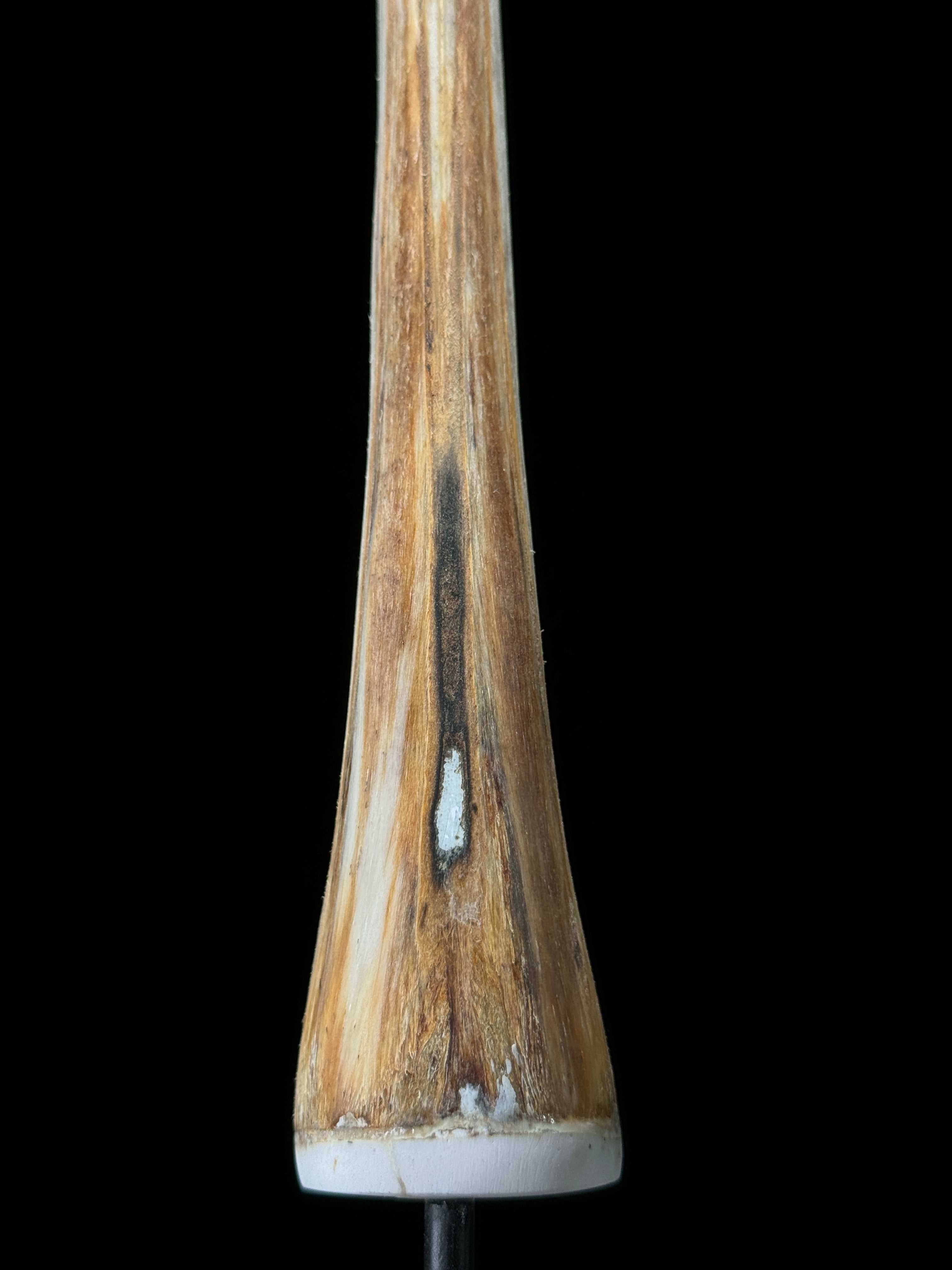 Marlin tusk on stand  - Tusk,A/020