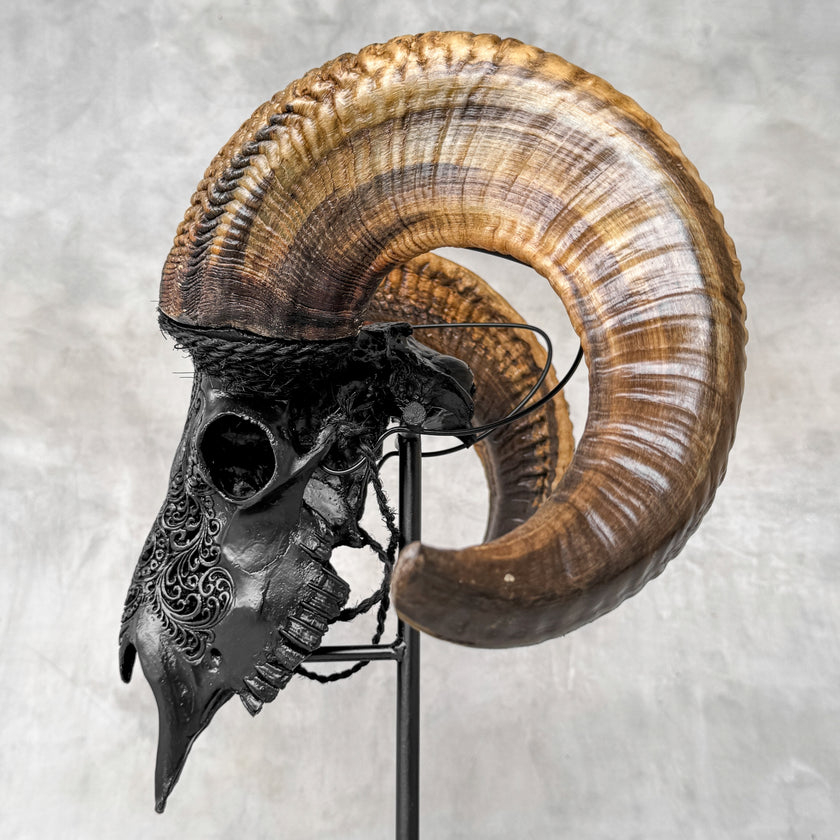 Carved Ram Skull with Badong Motif - Black Wall Art Decor for Boho, Rustic & Eclectic Interiors