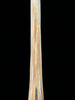 Marlin tusk on stand  - Tusk,A/020