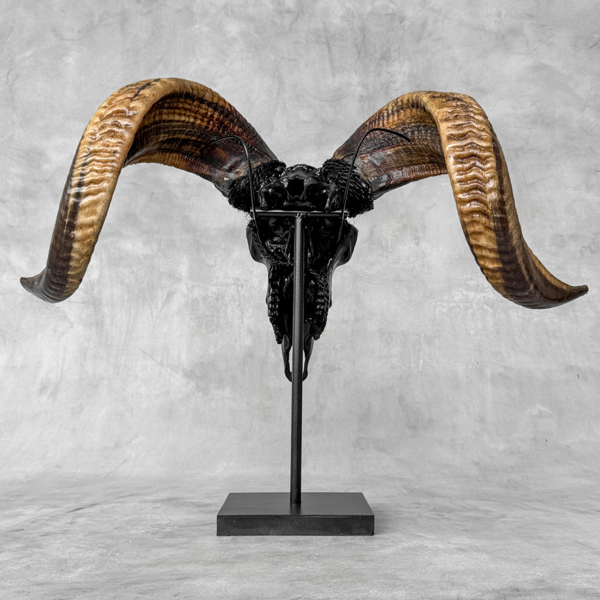 Carved Ram Skull with Badong Motif - Black Wall Art Decor for Boho, Rustic & Eclectic Interiors