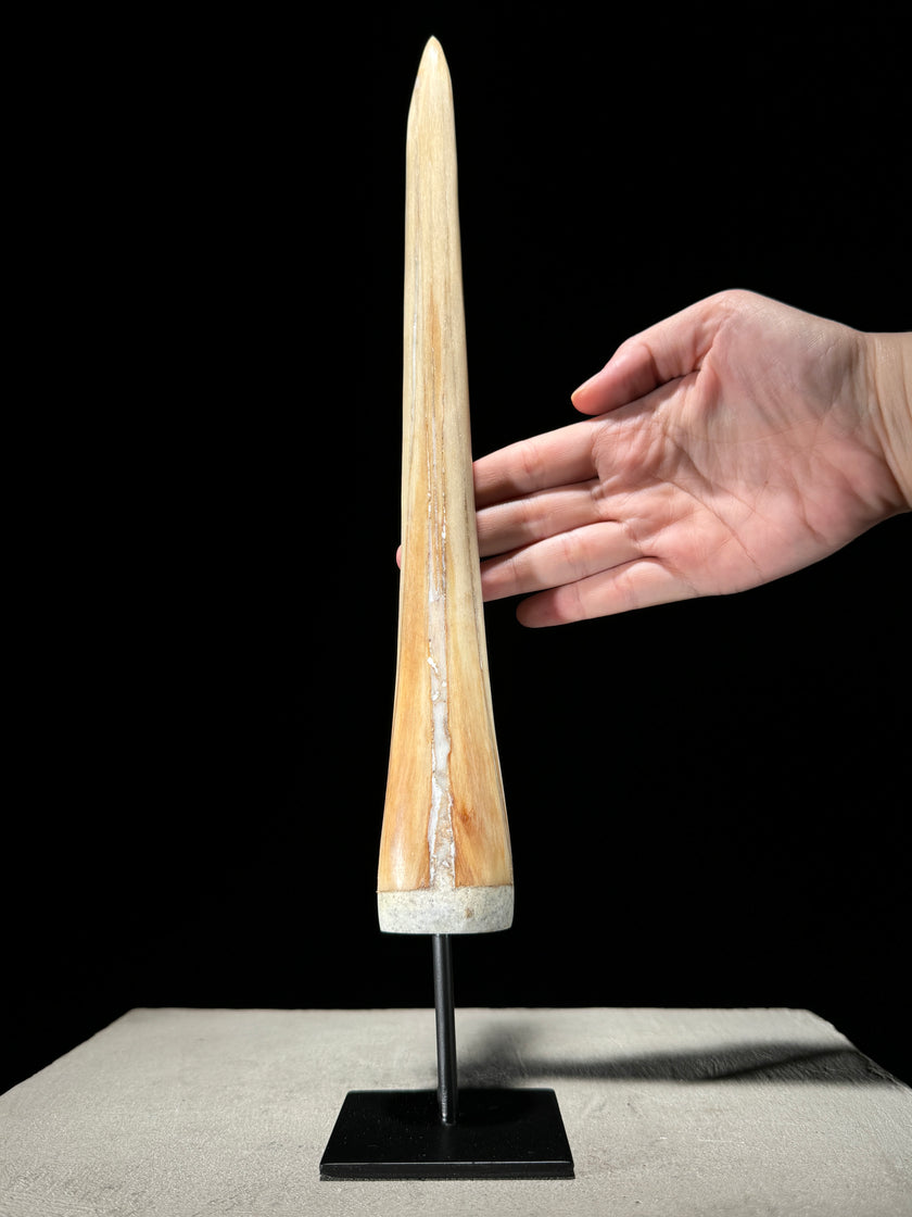 Marlin tusk on stand  - Tusk,A/016