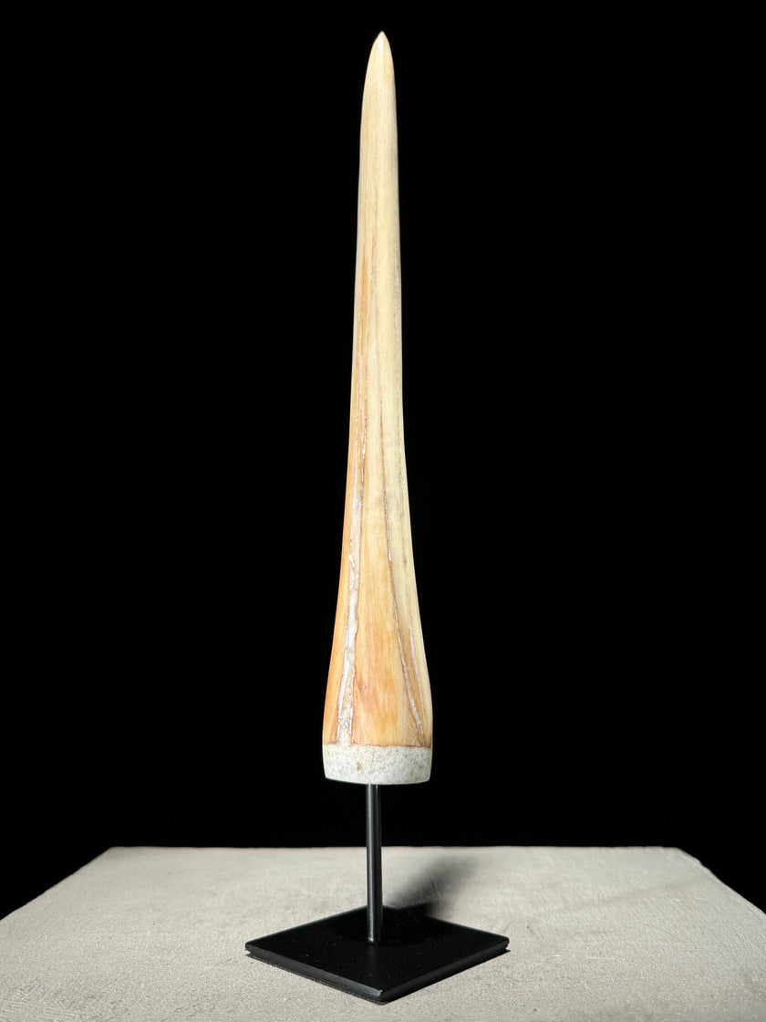 Marlin tusk on stand  - Tusk,A/016