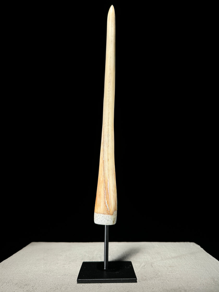 Marlin tusk on stand  - Tusk,A/016