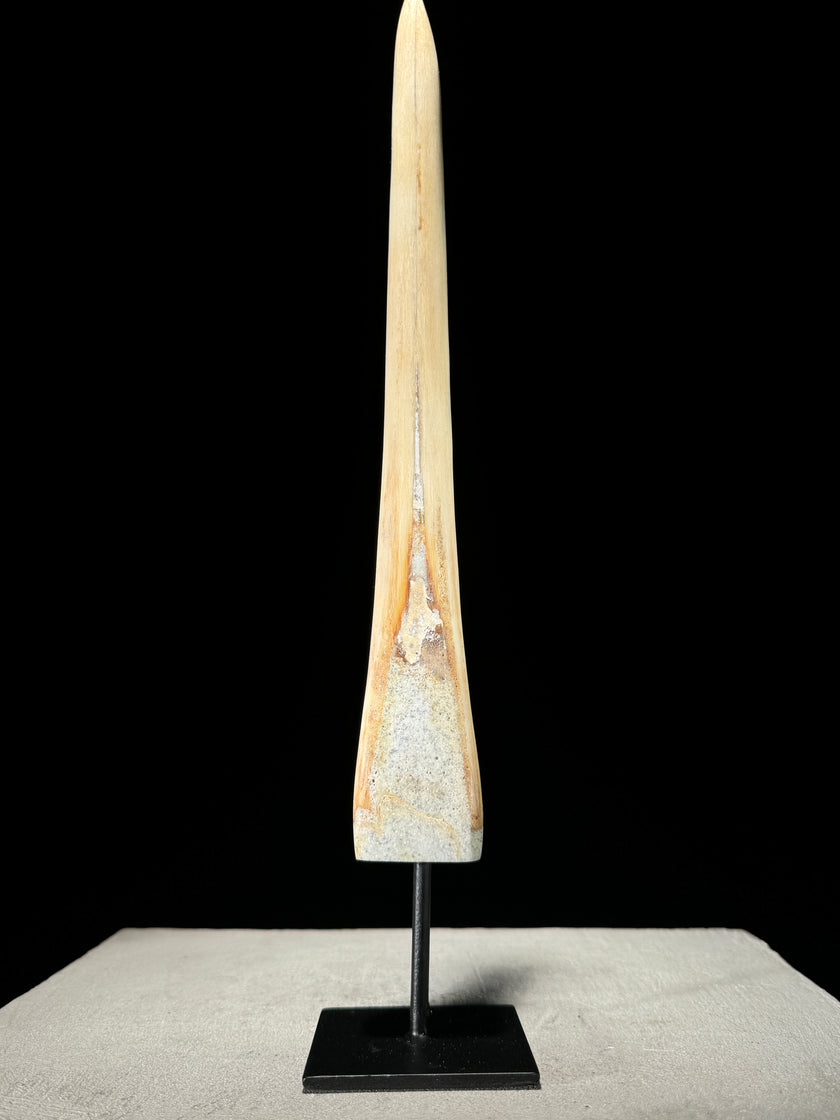 Marlin tusk on stand  - Tusk,A/016