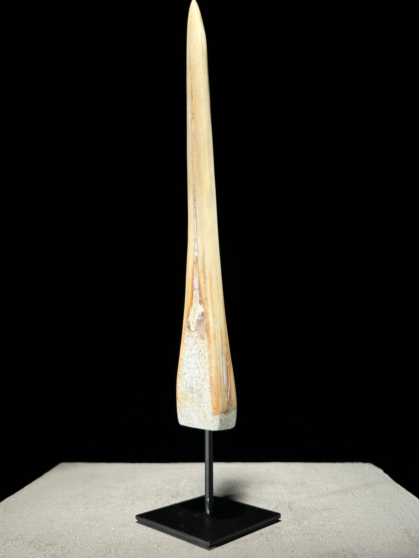 Marlin tusk on stand  - Tusk,A/016