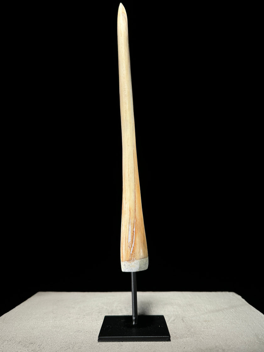 Marlin tusk on stand  - Tusk,A/016
