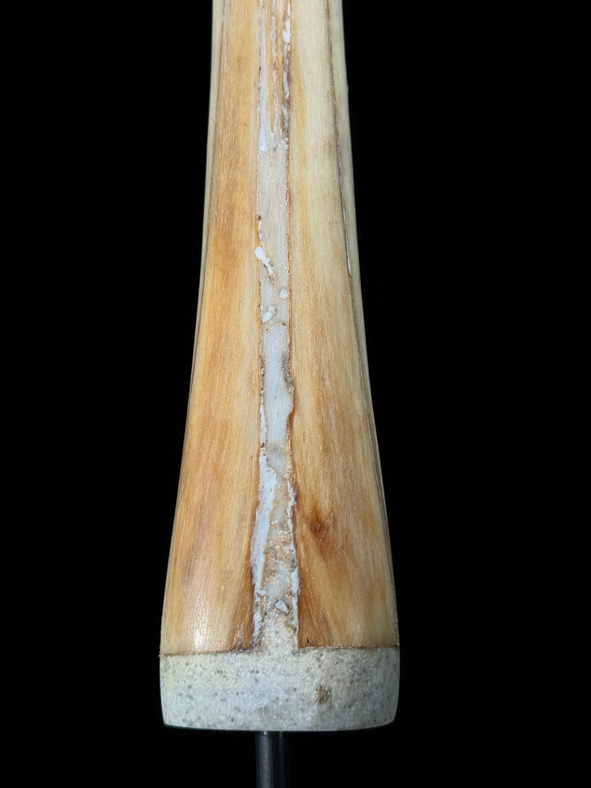 Marlin tusk on stand  - Tusk,A/016