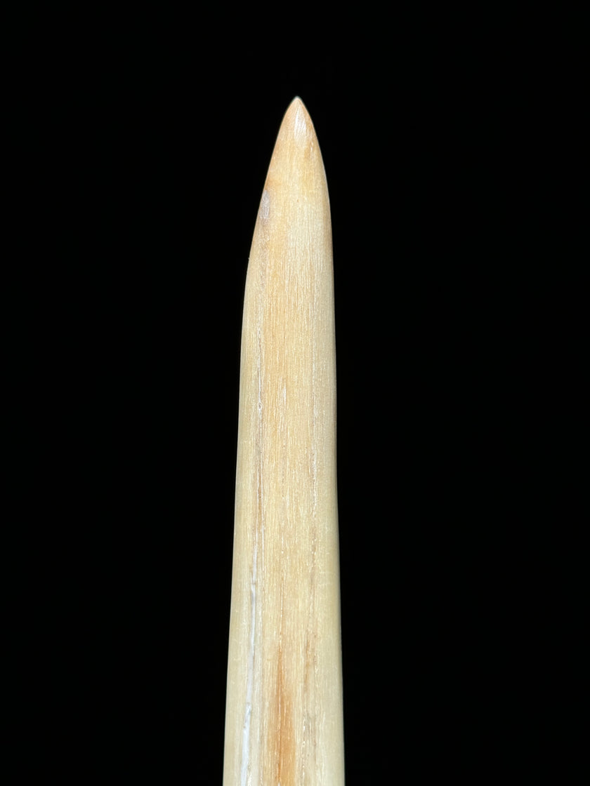 Marlin tusk on stand  - Tusk,A/016