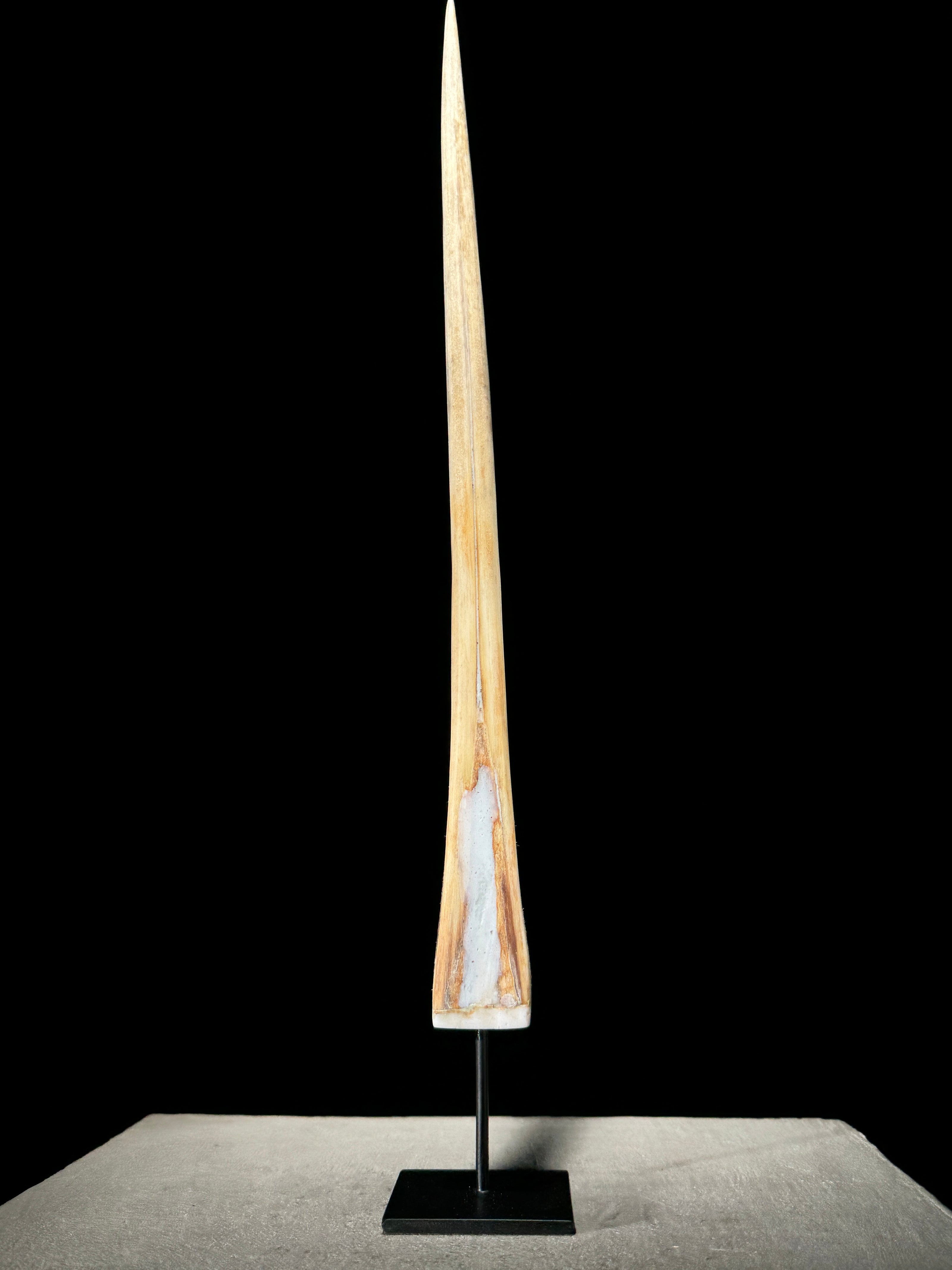 Marlin tusk on stand  - Tusk,A/014