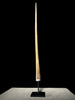 Marlin tusk on stand  - Tusk,A/014