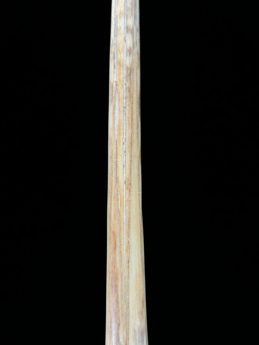 Marlin tusk on stand  - Tusk,A/014