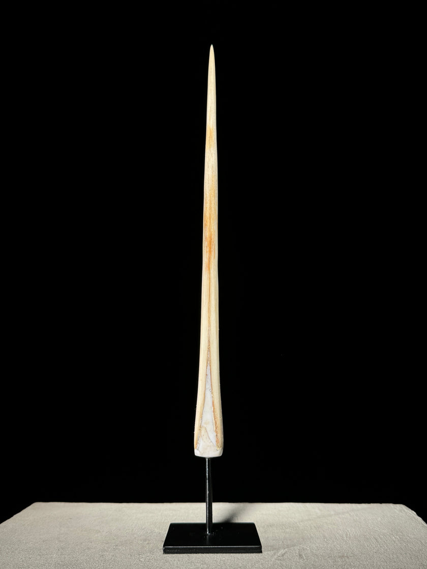 Marlin tusk on stand  - Tusk,A/015