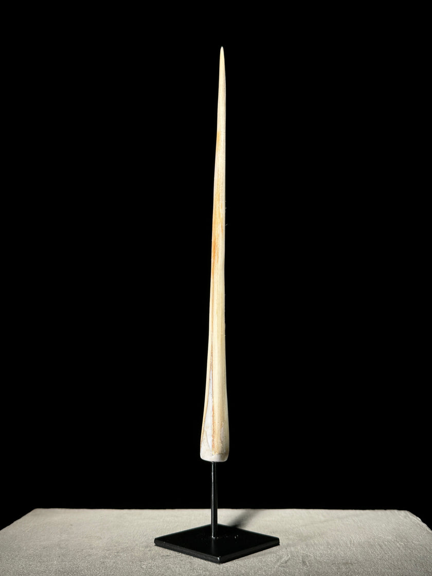 Marlin tusk on stand  - Tusk,A/015