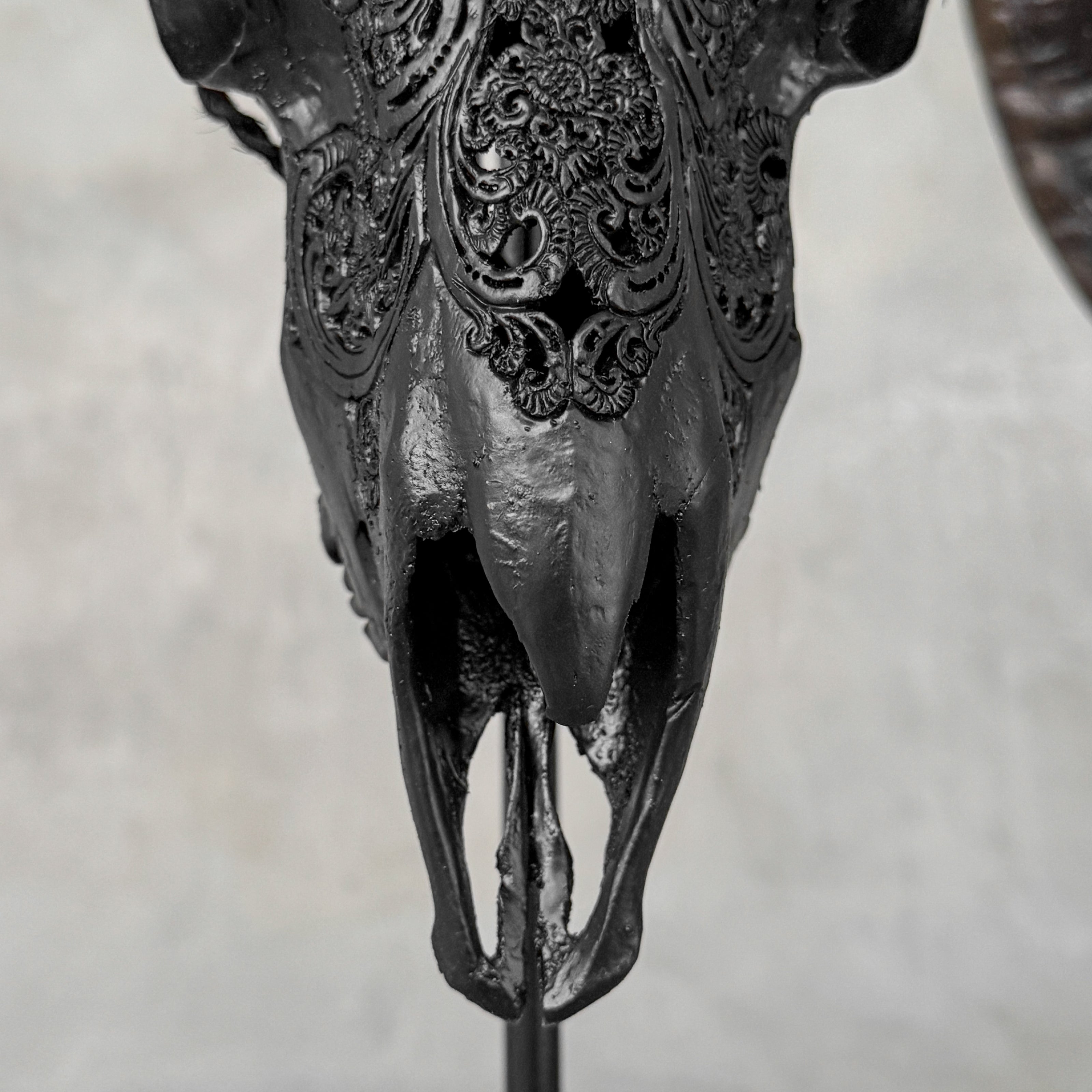 Carved Ram Skull with Big Lotus Motif - Black Wall Art Decor for Boho, Rustic & Eclectic Interiors - Skull,A/114