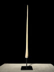 Marlin tusk on stand  - Tusk,A/015