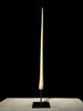 Marlin tusk on stand  - Tusk,A/015