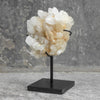 Beautiful Quartz Crystal cluster on a custom stand CC/040