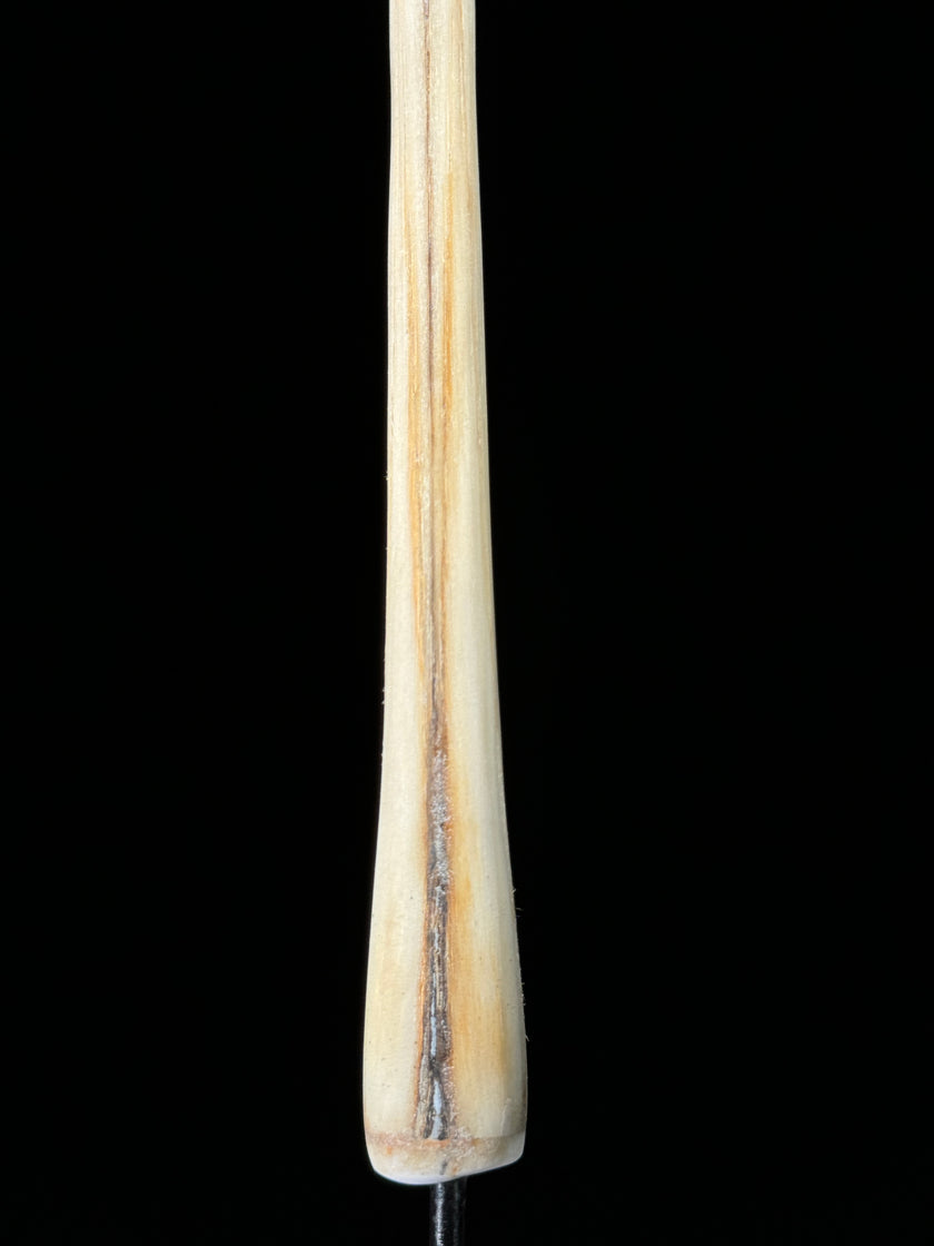 Marlin tusk on stand  - Tusk,A/015