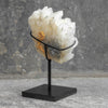 Beautiful Quartz Crystal cluster on a custom stand CC/040