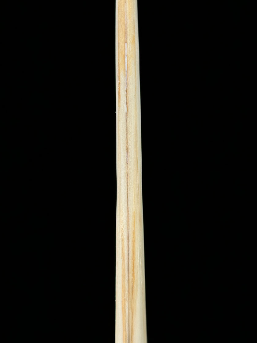 Marlin tusk on stand  - Tusk,A/015