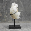 Beautiful Quartz Crystal cluster on a custom stand CC/040