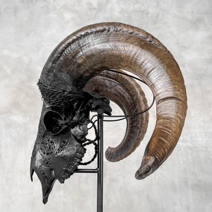 Carved Ram Skull with Big Lotus Motif - Black Wall Art Decor for Boho, Rustic & Eclectic Interiors
