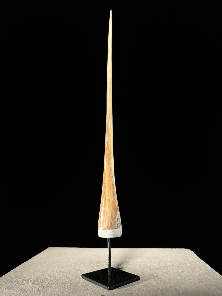 Marlin tusk on stand  - Tusk,A/018