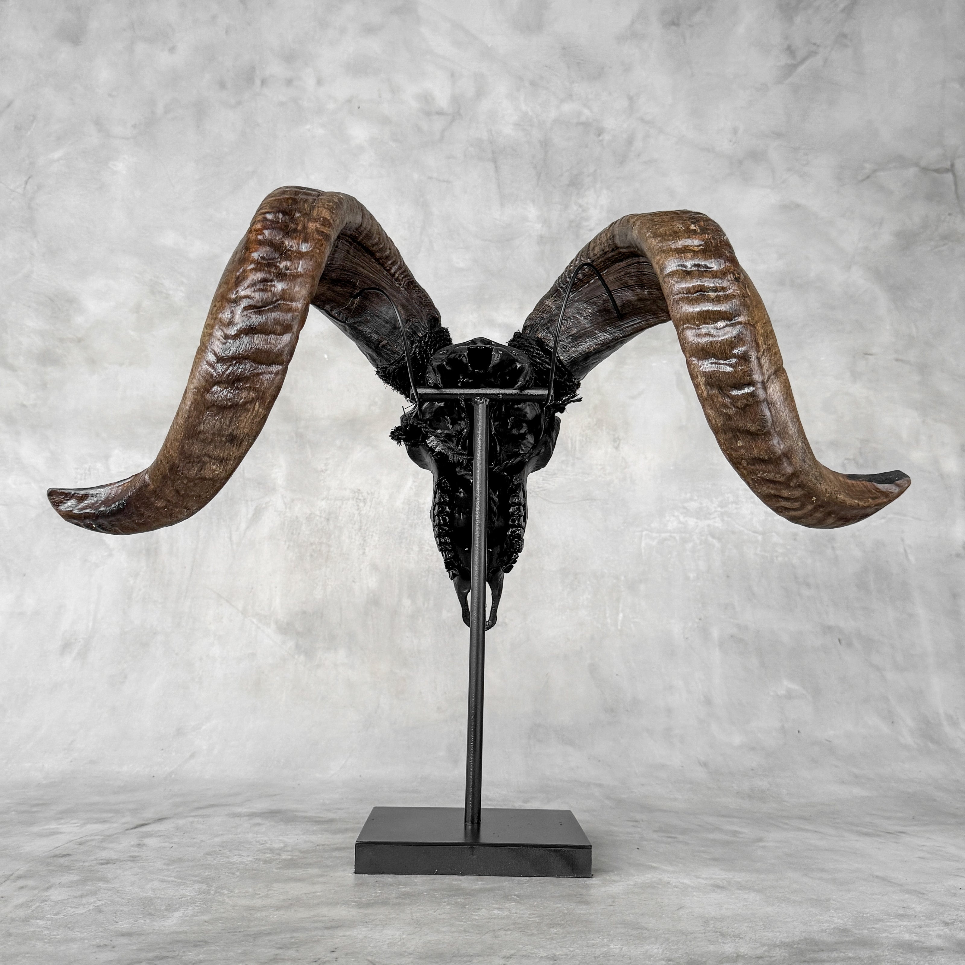 Carved Ram Skull with Big Lotus Motif - Black Wall Art Decor for Boho, Rustic & Eclectic Interiors - Skull,A/114