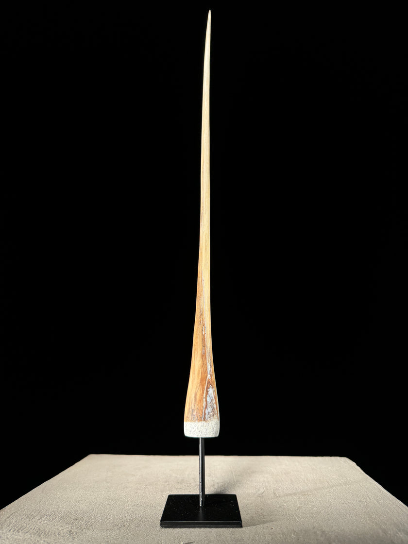 Marlin tusk on stand  - Tusk,A/018