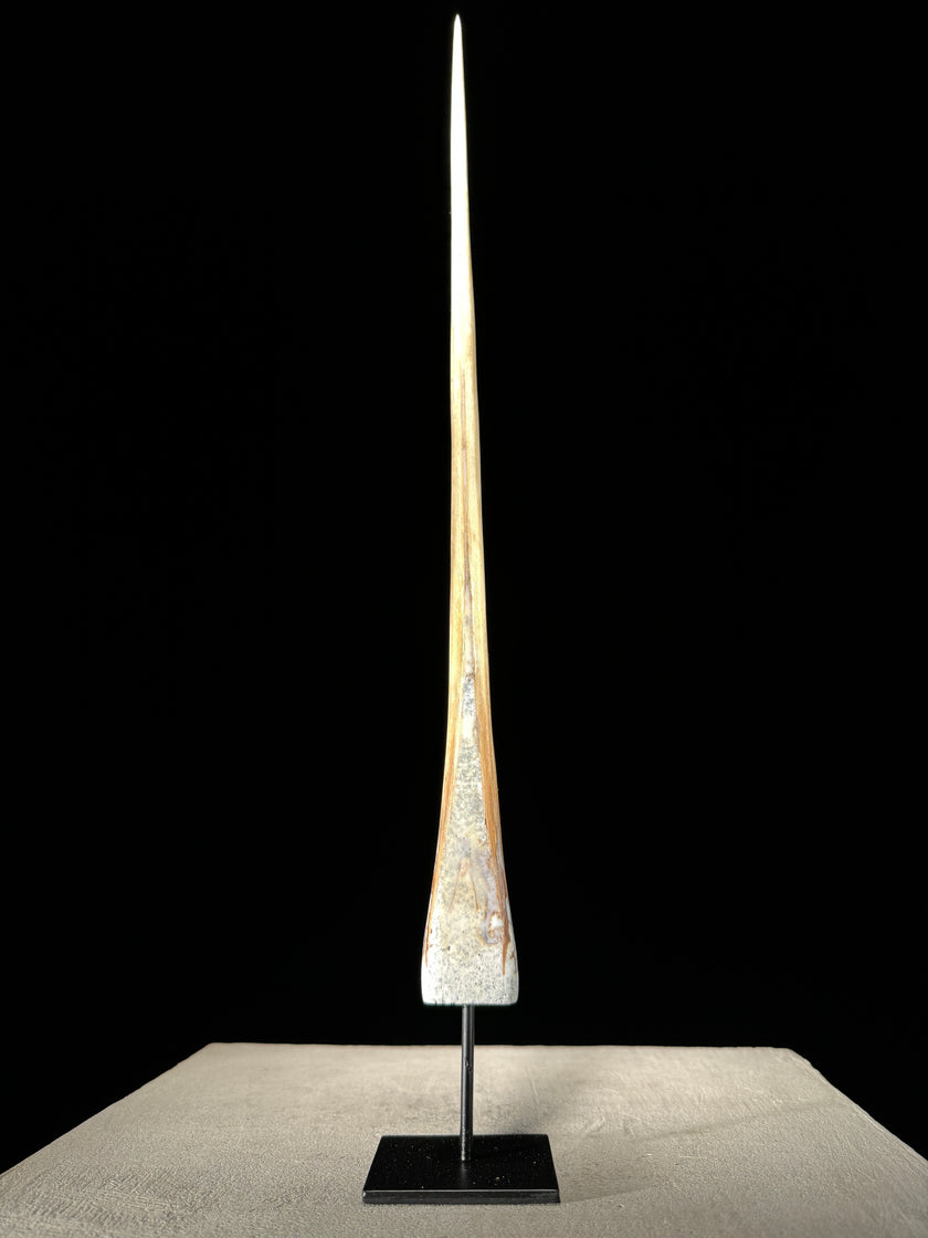 Marlin tusk on stand  - Tusk,A/018