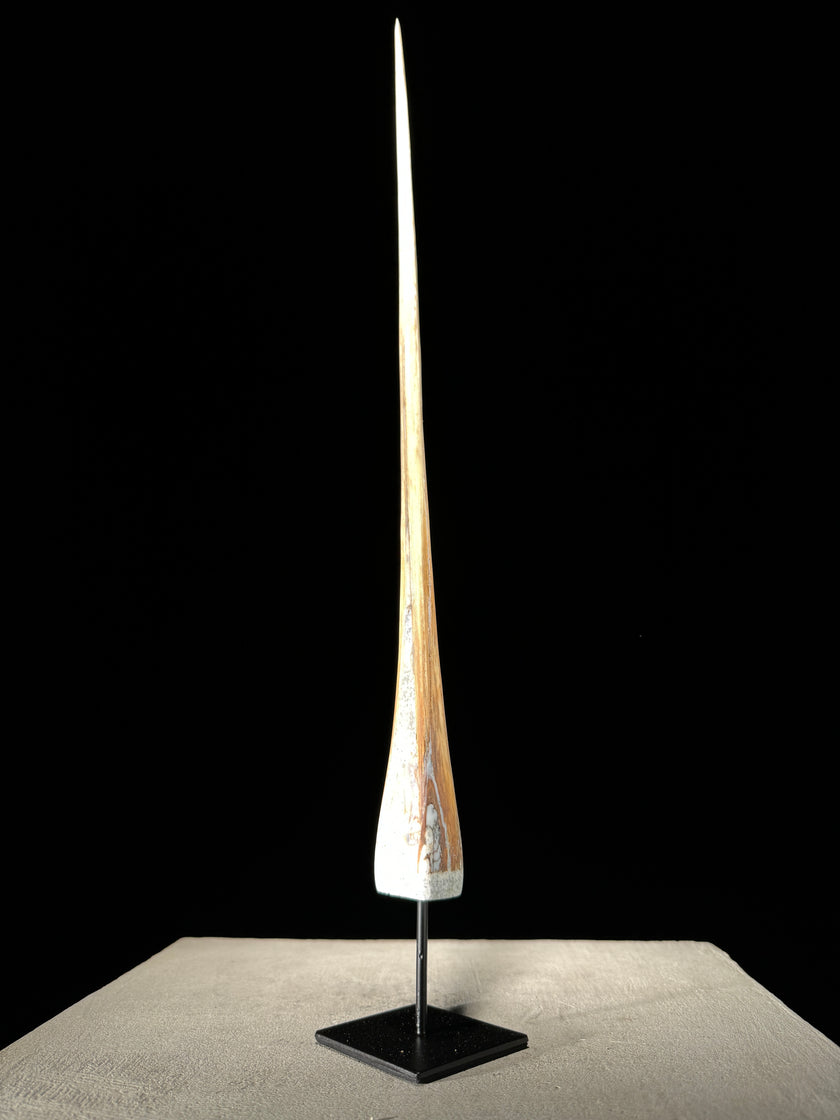 Marlin tusk on stand  - Tusk,A/018